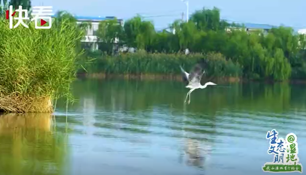 塞上江南2 塞上江南2