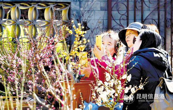 微信圖片_20191225171523