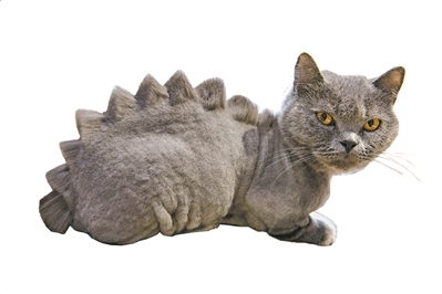 咖啡館里的“招財貓”