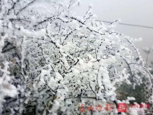 永善冰雪6.jpg