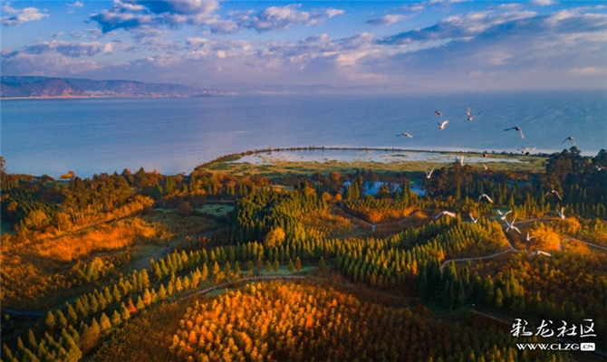 風(fēng)清云淡 攝 風(fēng)清云淡 攝