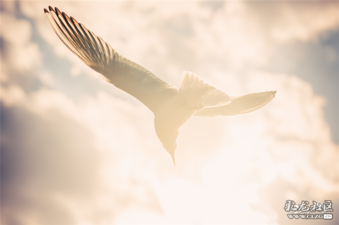 括號 攝 括號 攝