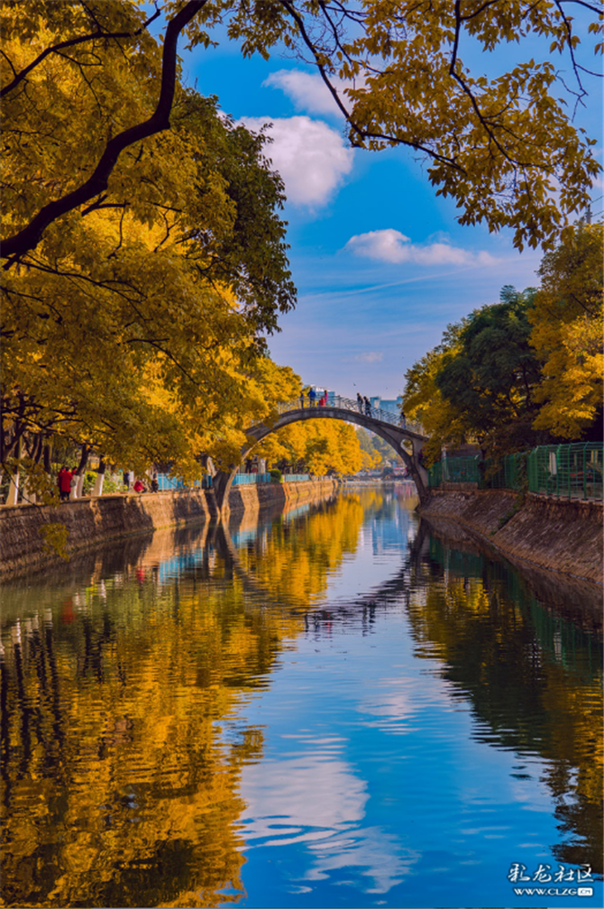 維梅 攝 維梅 攝