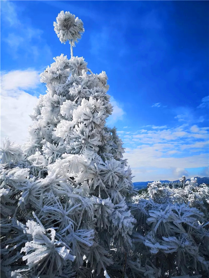 ▲陽宗海湖畔梁王山頂?shù)撵F凇。.webp (1)