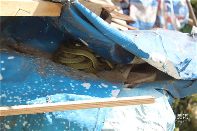 微信圖片_20191227171323