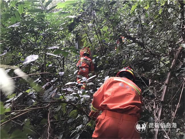 微信圖片_20191227172000