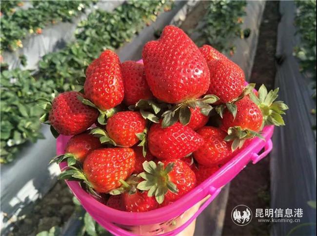 微信圖片_20191227230419 微信圖片_20191227230419