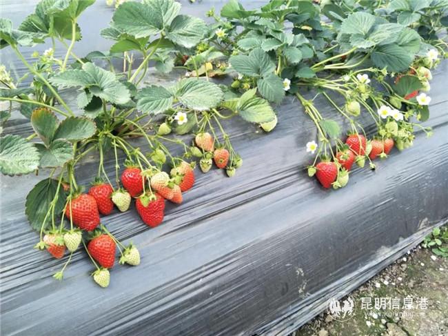 微信圖片_20191227231439 微信圖片_20191227231439