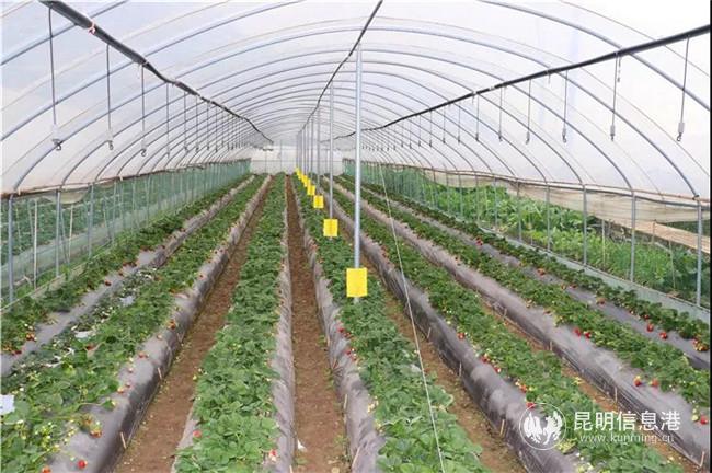 微信圖片_20191227231442 微信圖片_20191227231442