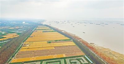 綠色+美麗 長三角一體化高質量發(fā)展的應有之義 綠色+美麗 長三角一體化高質量發(fā)展的應有之義