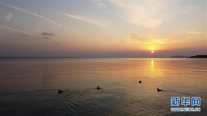 （新華全媒頭條·圖文互動）（4）大湖見證——長三角三大淡水湖綠色發(fā)展之路