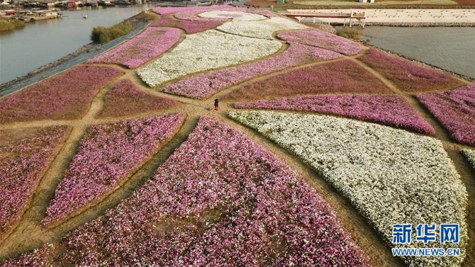 （新華全媒頭條·圖文互動）（5）大湖見證——長三角三大淡水湖綠色發(fā)展之路