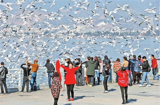 QQ截圖20191230081612