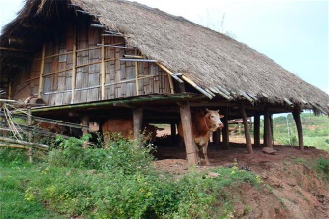 283644_670x670 283644_670x670