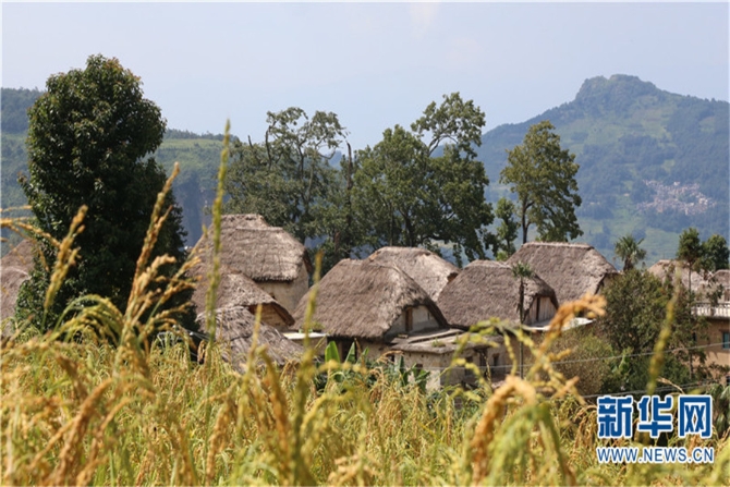 283635_670x670 283635_670x670