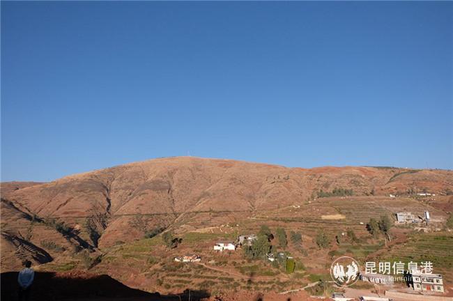 這片山上，未來(lái)也將種上石榴樹(shù)。