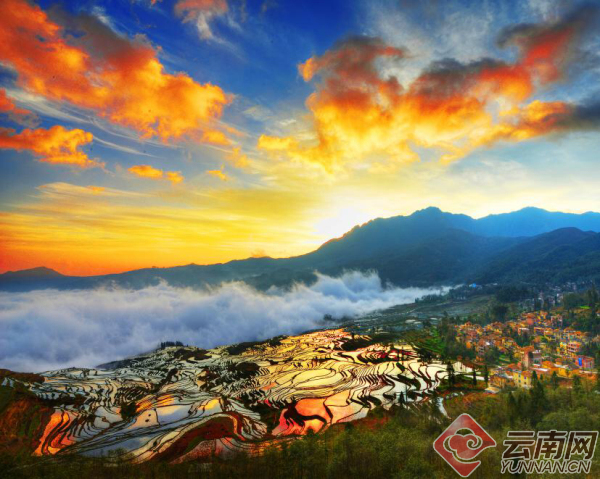 00301308892_4a35a4de 00301308892_4a35a4de