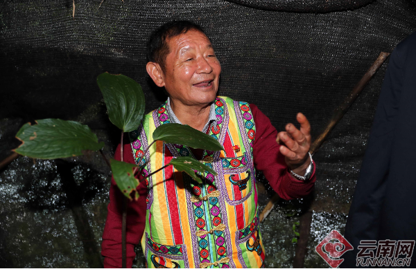 00301309562_50718498