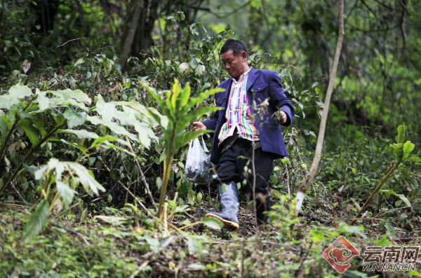 00301309581_6e91b969