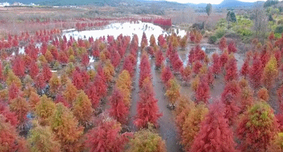 微信圖片_20191231142243