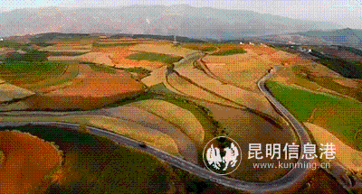 微信圖片_20191231142300