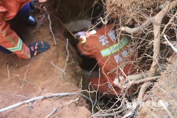 微信圖片_20191231101850 微信圖片_20191231101850