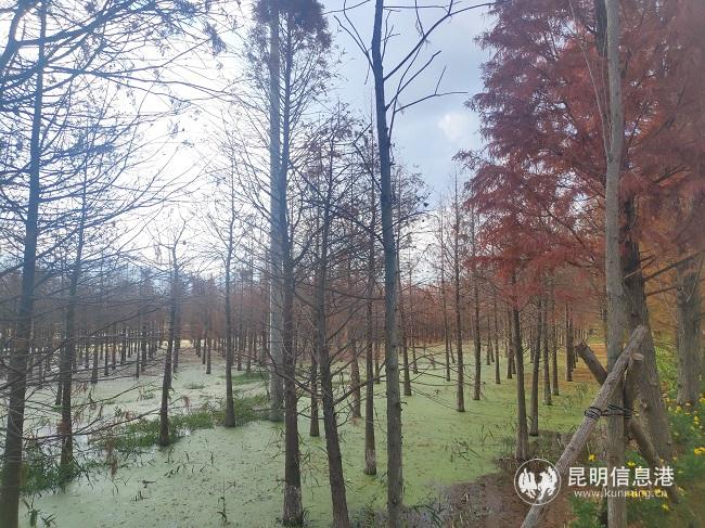 1230_3 (1) 1230_3 (1)