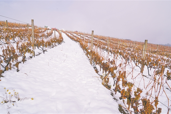 QQ截圖20200102075626