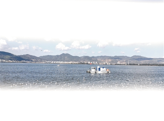 QQ截圖20200102084542 QQ截圖20200102084542