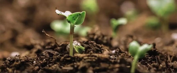 微信圖片_20200101202311.jpg?x-oss-process=style/w10