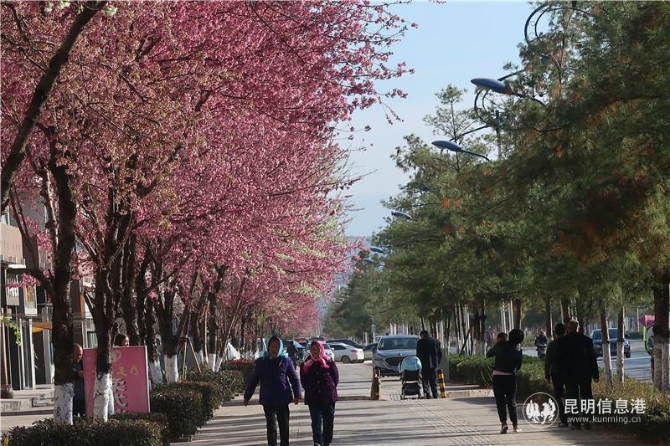 微信圖片_20200102111958