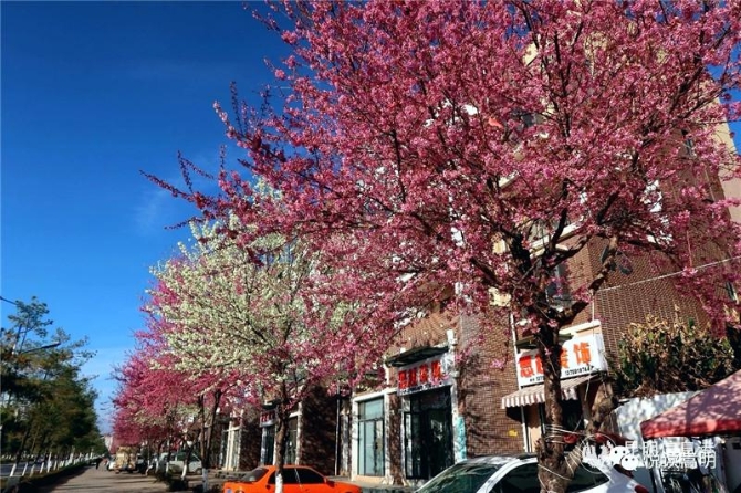 微信圖片_20200103083730