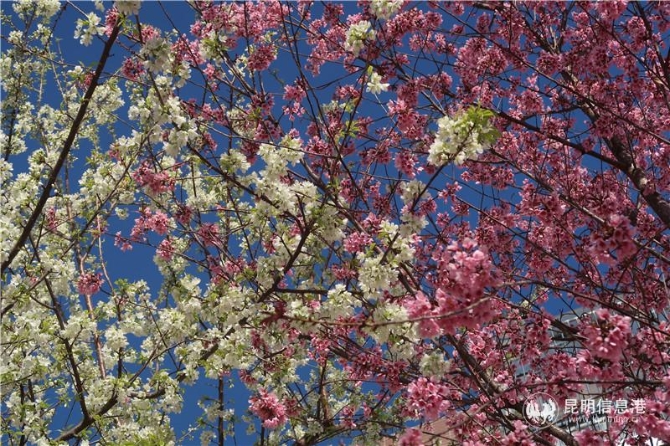 微信圖片_20200102111915