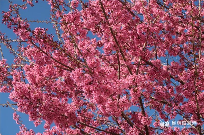 微信圖片_20200102111811