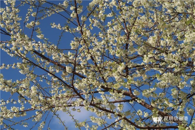 微信圖片_20200102111816