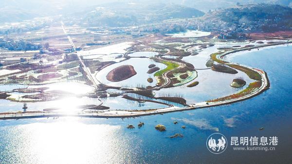 明湖濕地 明湖濕地