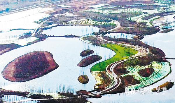 明湖濕地12312 明湖濕地12312