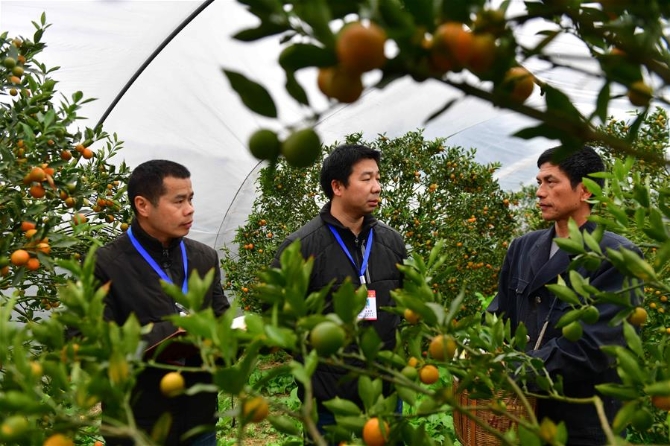 （新華全媒頭條·圖文互動）（8）以優(yōu)良作風(fēng)凝聚決戰(zhàn)決勝磅礴力量——2019年以習(xí)近平同志為核心的黨中央貫徹執(zhí)行中央八項(xiàng)規(guī)定、推進(jìn)作風(fēng)建設(shè)紀(jì)實(shí)