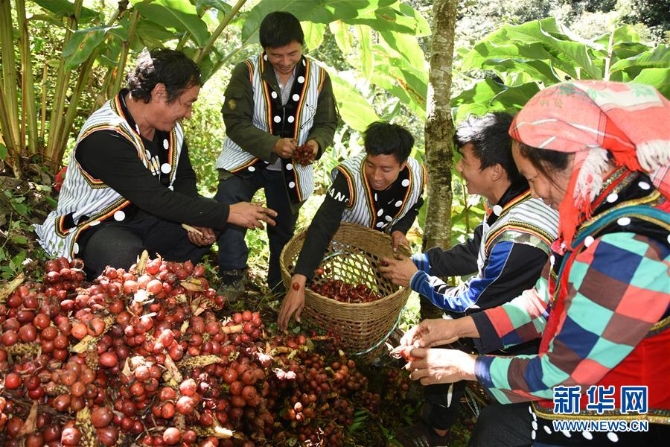 (在習(xí)近平新時(shí)代中國特色社會(huì)主義思想指引下——新時(shí)代新作為新篇章·總書記關(guān)切脫貧事·決勝貧困·圖文互動(dòng))(4)讓一方水土“富養(yǎng)”一方人——扶貧特色產(chǎn)業(yè)惠及千家萬戶