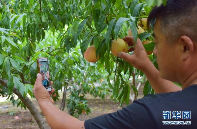 (在習(xí)近平新時(shí)代中國特色社會(huì)主義思想指引下——新時(shí)代新作為新篇章·總書記關(guān)切脫貧事·決勝貧困·圖文互動(dòng))(6)讓一方水土“富養(yǎng)”一方人——扶貧特色產(chǎn)業(yè)惠及千家萬戶