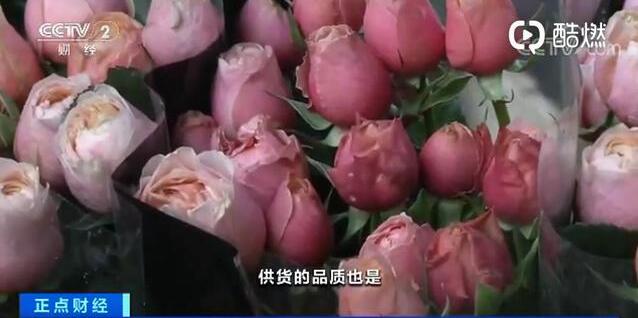 5e12a291baa95 5e12a291baa95