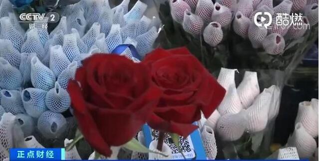 5e12a291c4dcb 5e12a291c4dcb