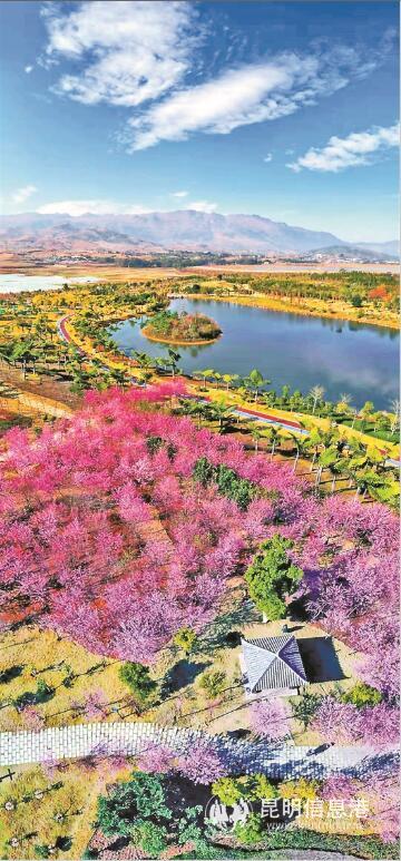 QQ截圖202001070844211