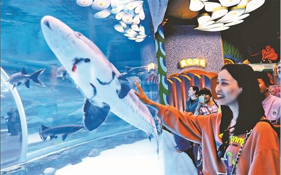 QQ截圖202001070904431 QQ截圖202001070904431