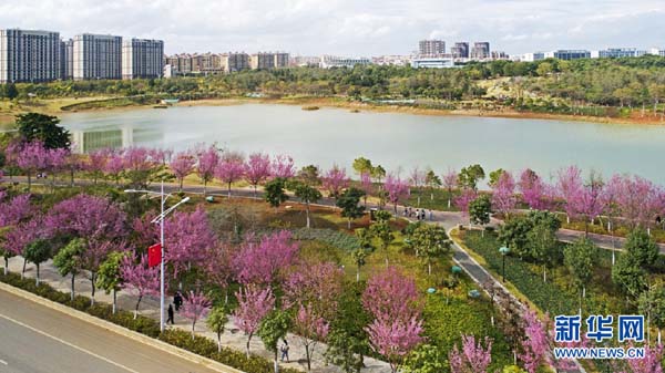 138682570_15783030651201n 138682570_15783030651201n