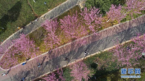 138682570_15783030652181n 138682570_15783030652181n