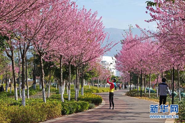 138682570_15783030653311n 138682570_15783030653311n