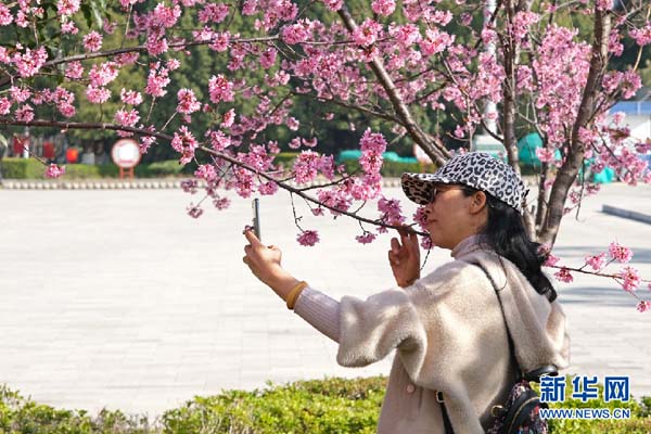 138682570_15783030654231n 138682570_15783030654231n