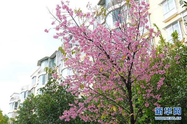 138682570_15783030656241n 138682570_15783030656241n