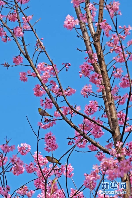 138682570_15783030657291n 138682570_15783030657291n